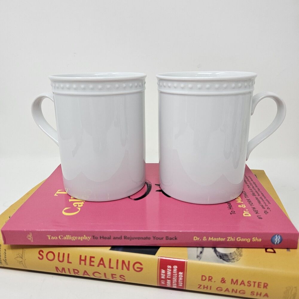 Crate & Barrel Staccato Cup Kathleen Wills Coffee Cups Set Of 2 11oz